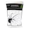 10ft. Glow-in-the-Dark Spider Web by Ashland®